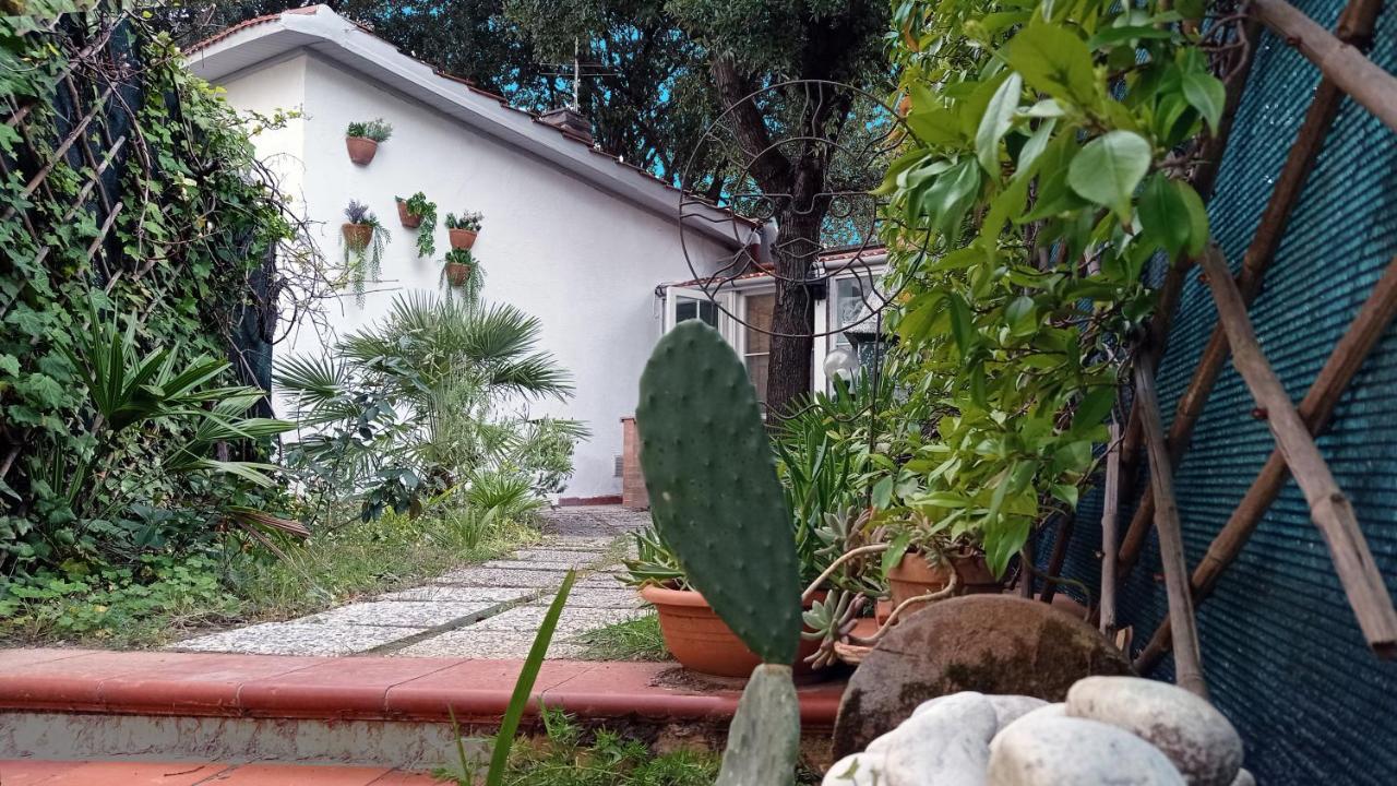 Villetta la Gabbianella Livorno Esterno foto
