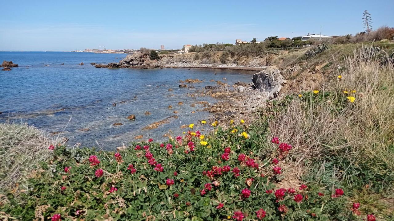 Villetta la Gabbianella Livorno Esterno foto